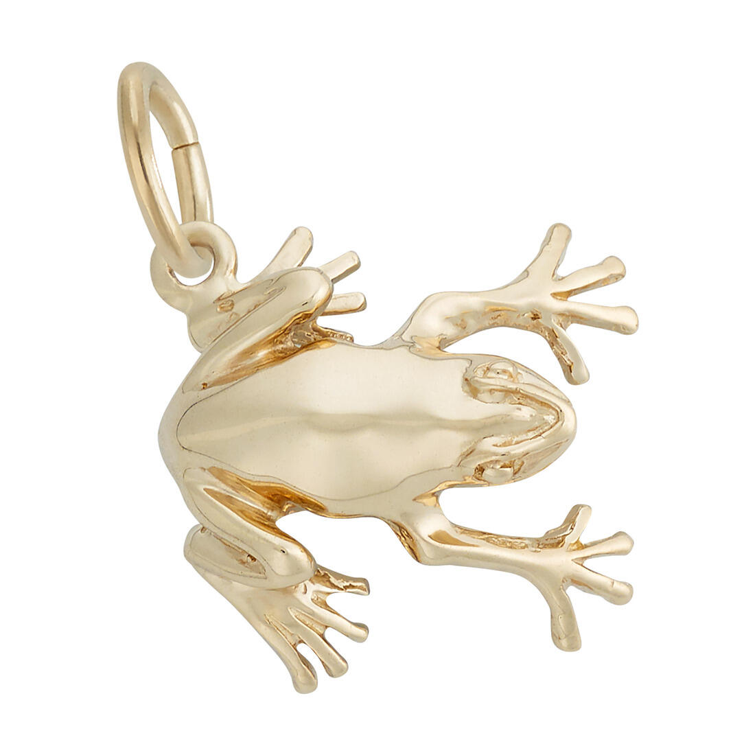 【限定お値下げ】K10ゴールド アメトリン AFTERGLOW CHARM 1529-Gold-Front.jpg